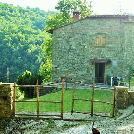Casa Titina Riposo E Relax Nella Campagna Toscana Пратовекио Екстериор снимка