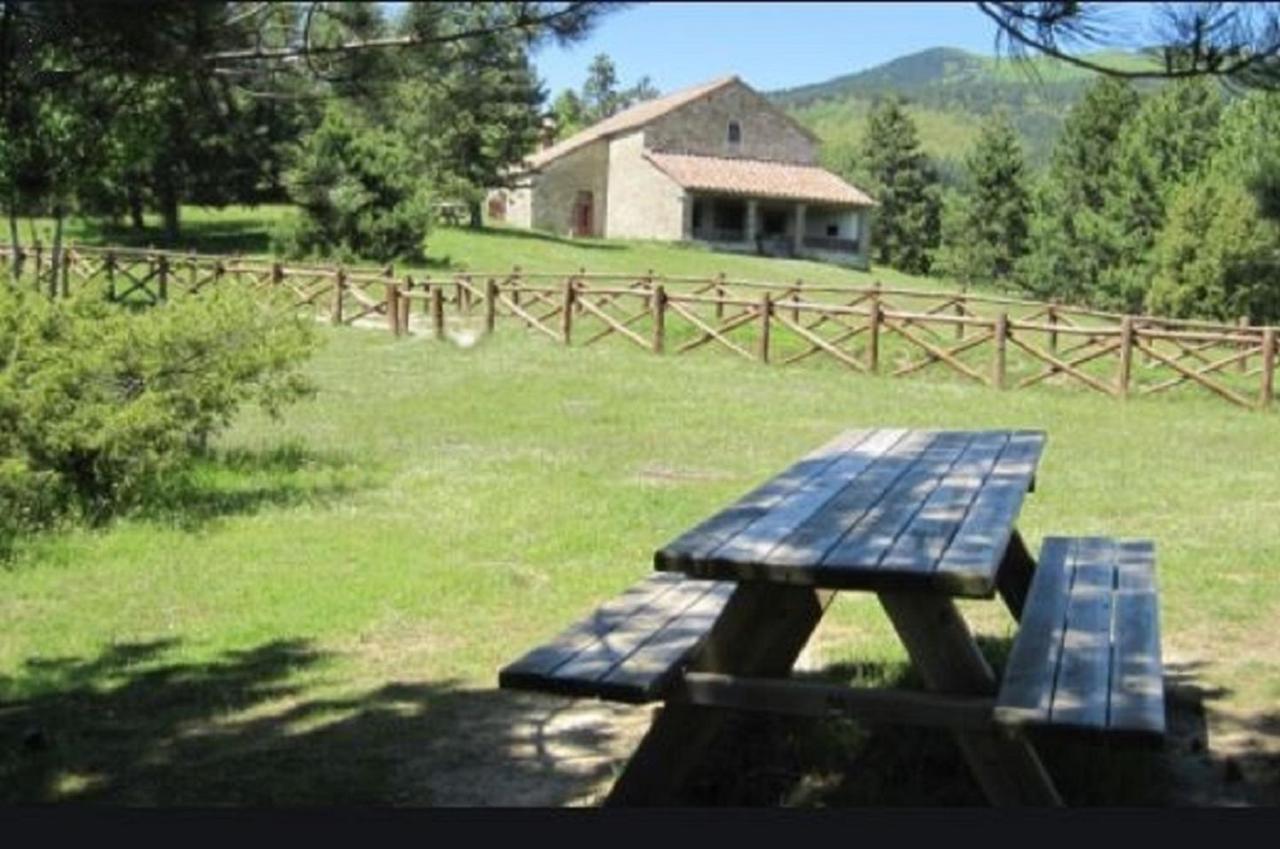 Casa Titina Riposo E Relax Nella Campagna Toscana Пратовекио Екстериор снимка