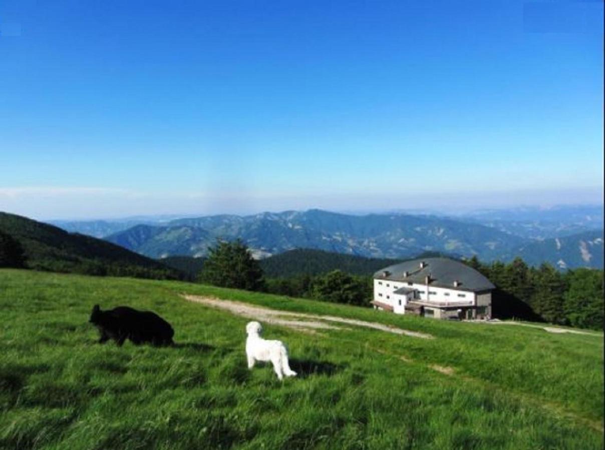 Casa Titina Riposo E Relax Nella Campagna Toscana Пратовекио Екстериор снимка
