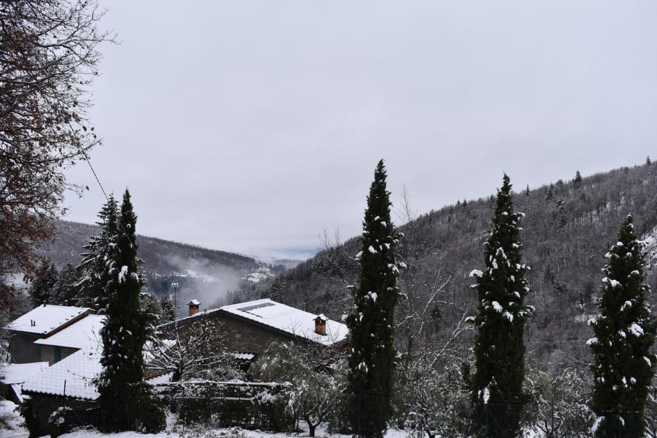 Casa Titina Riposo E Relax Nella Campagna Toscana Пратовекио Екстериор снимка