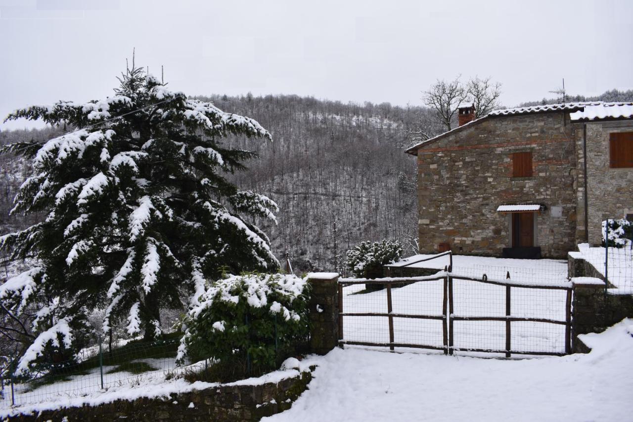 Casa Titina Riposo E Relax Nella Campagna Toscana Пратовекио Екстериор снимка