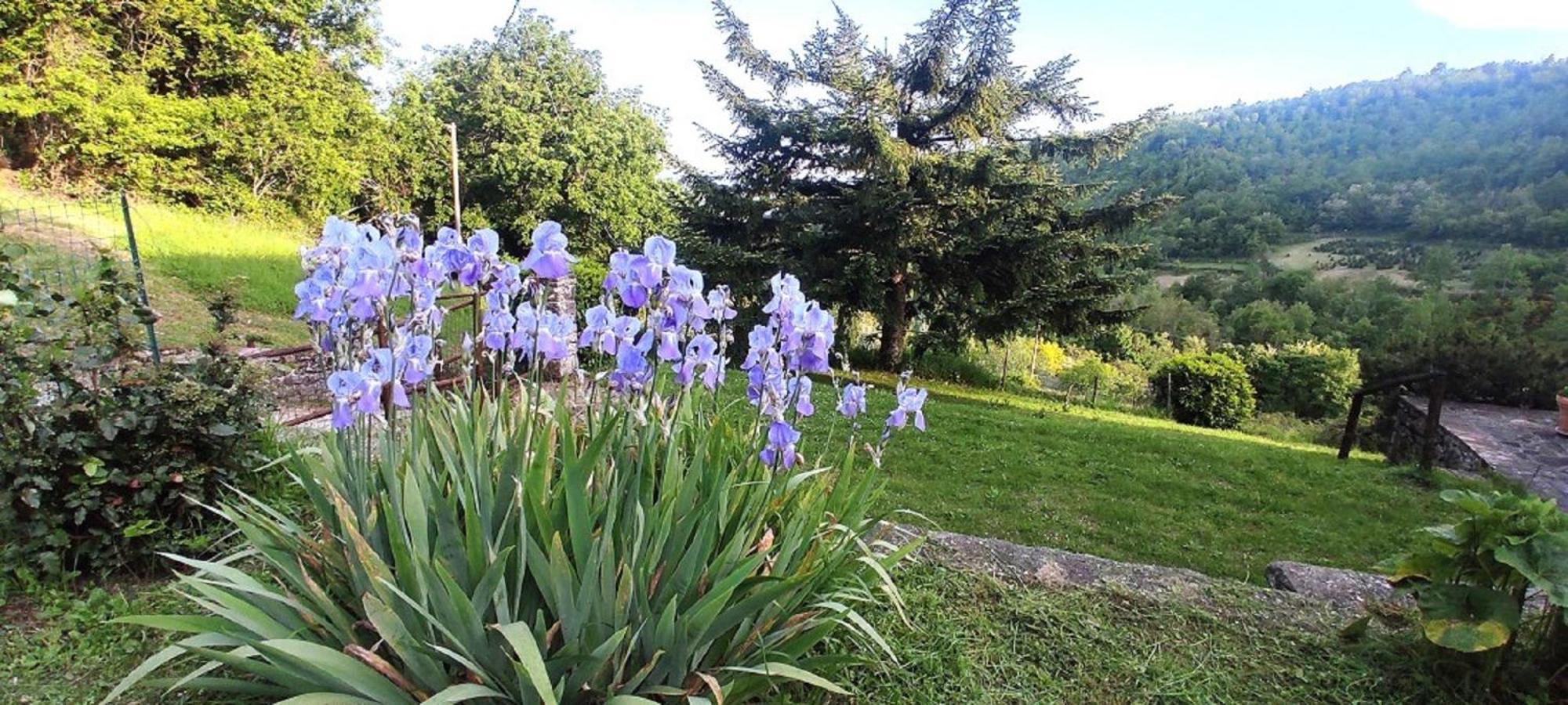 Casa Titina Riposo E Relax Nella Campagna Toscana Пратовекио Екстериор снимка